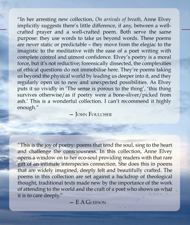 recommendations from back cover.jpg